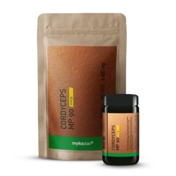 Cordyceps MP90 energy Vorteilspaket